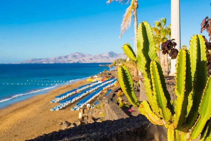 Villa Dacil Πλάγια Μπλάνκα Εξωτερικό φωτογραφία
